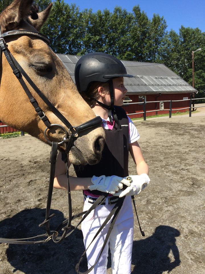 Glimt fra rekruttstevne