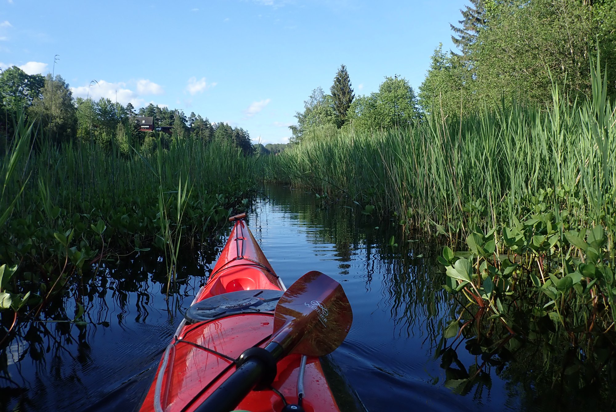 Onsdagstur 26. juni 2019