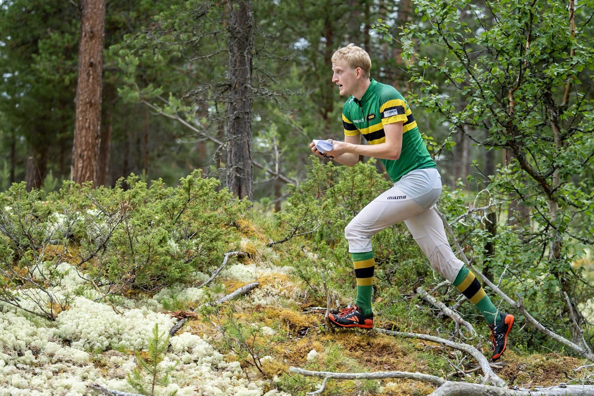 Utøvere ( junior, senior) 