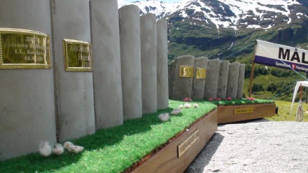 Skredløpsbilte 2009