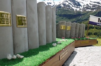 Skredløpsbilte 2009