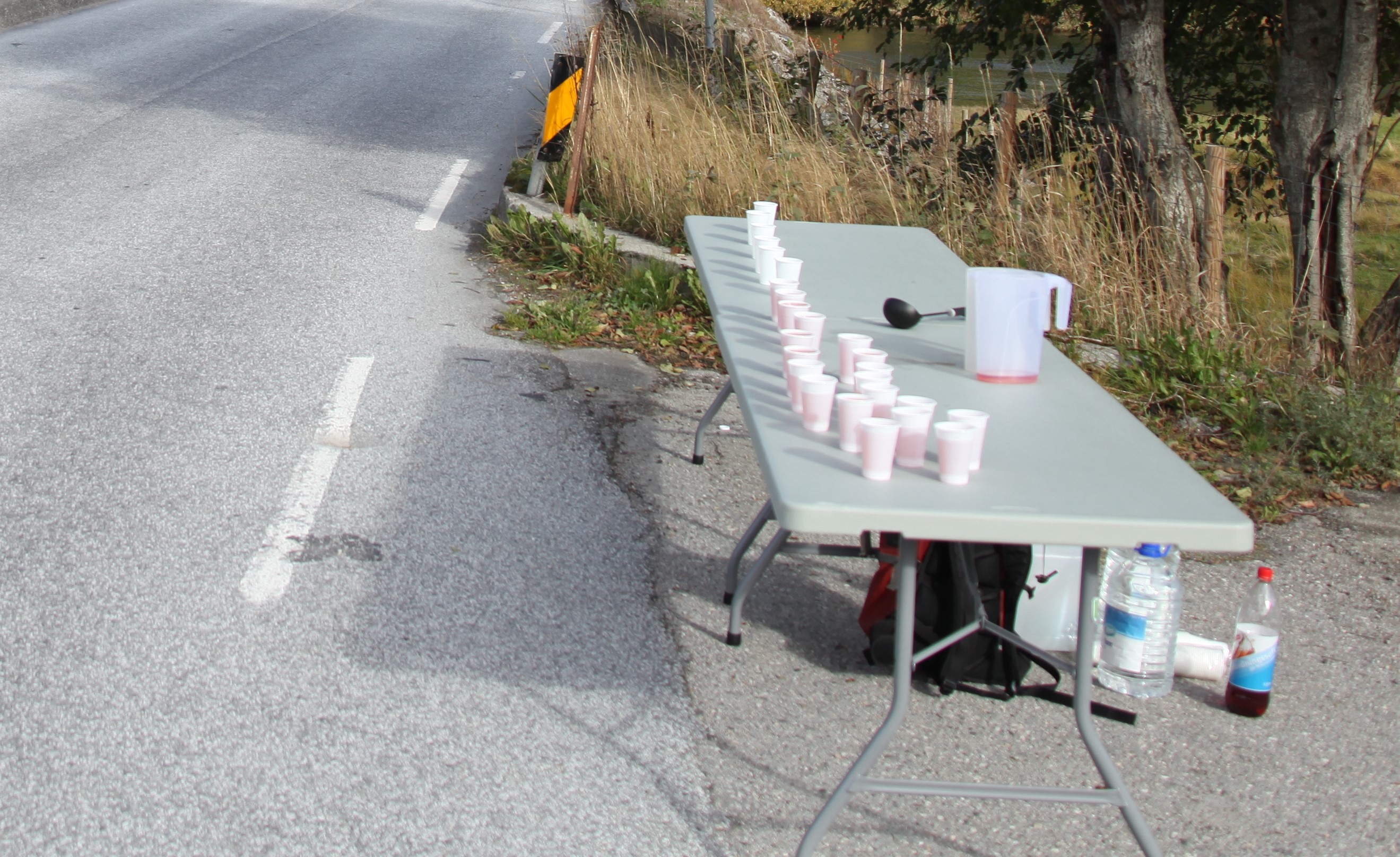 Gloppen Halvmaraton 2021 - Foto Vidar Nyhammer