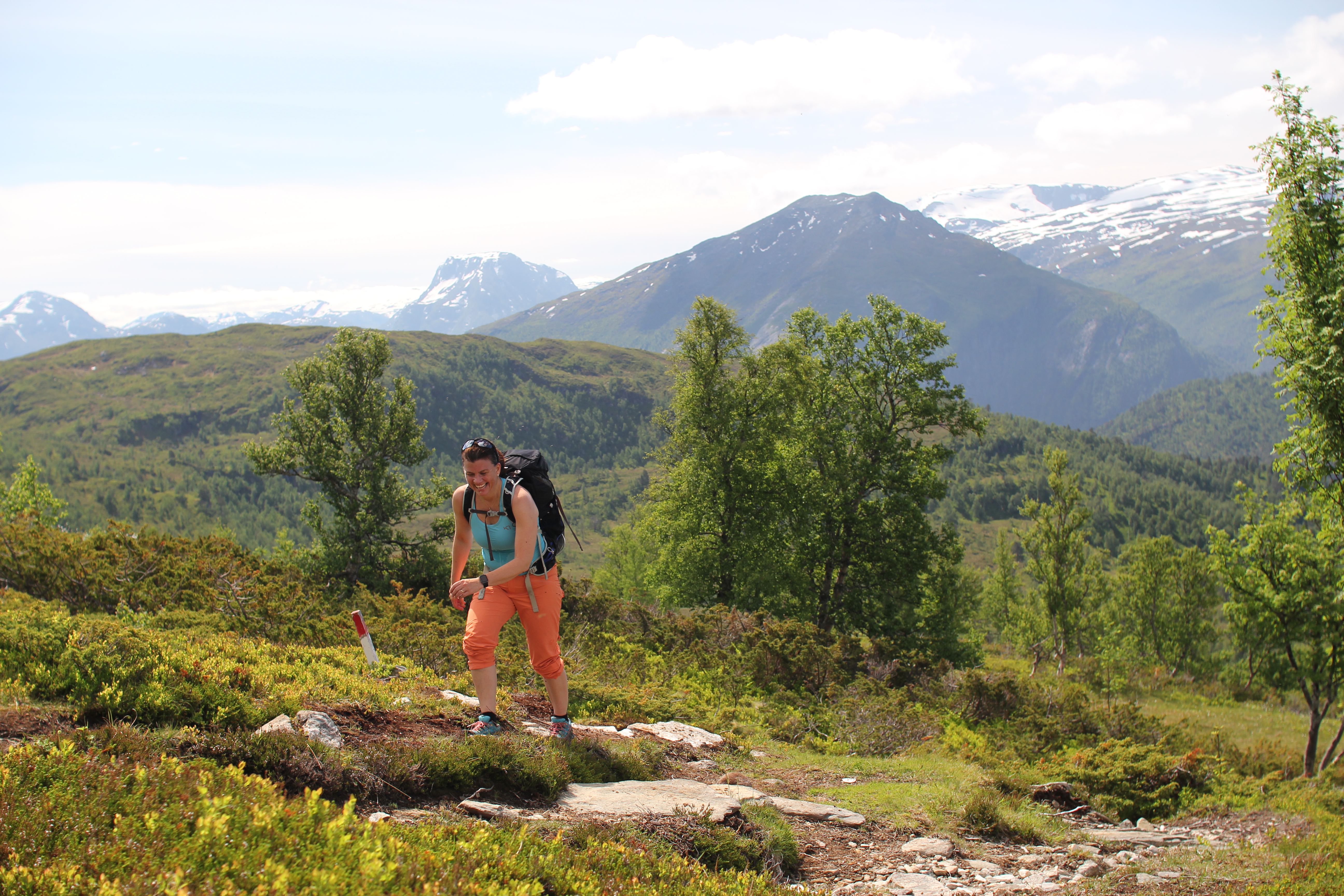 Svinestranda Opp 2021 II Bilete frå lia mot toppen,