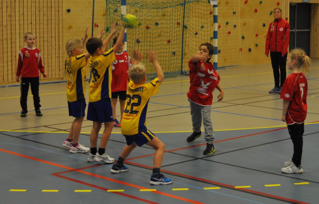 Vellykket minidag