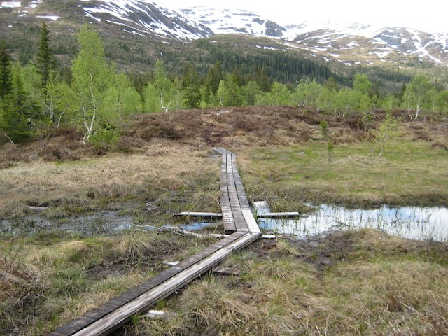 Trimkasser