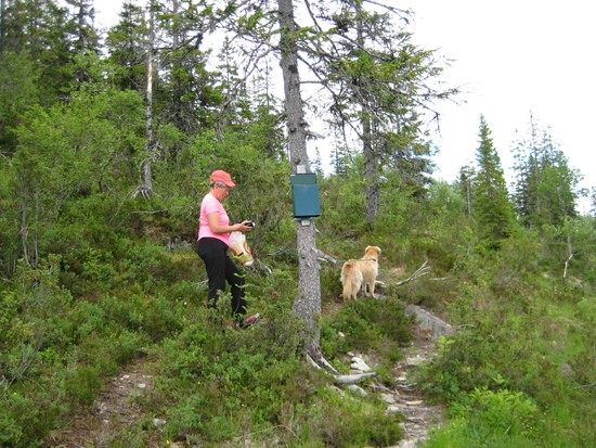Besøk på trimkassene