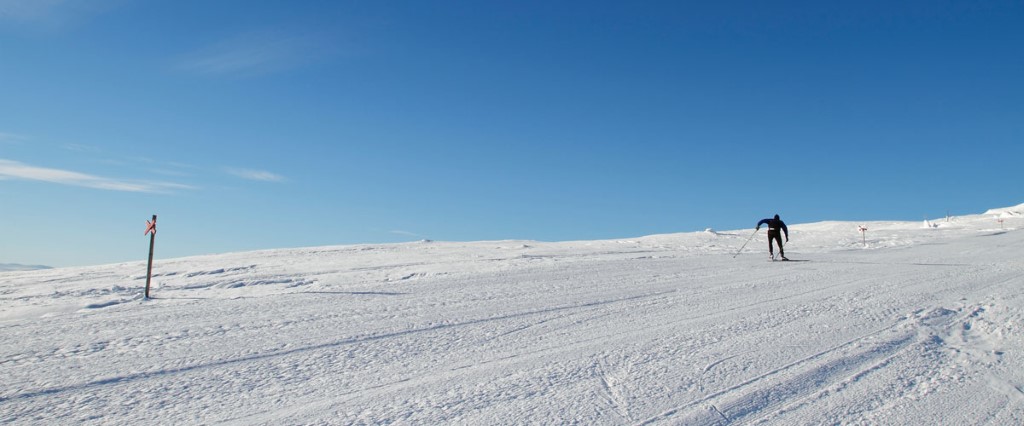 Årets skisamling i Edsåsdalen