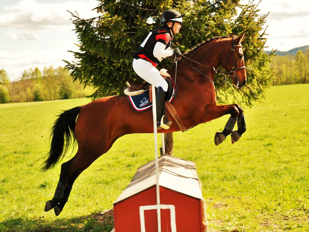 Sesongen 2015