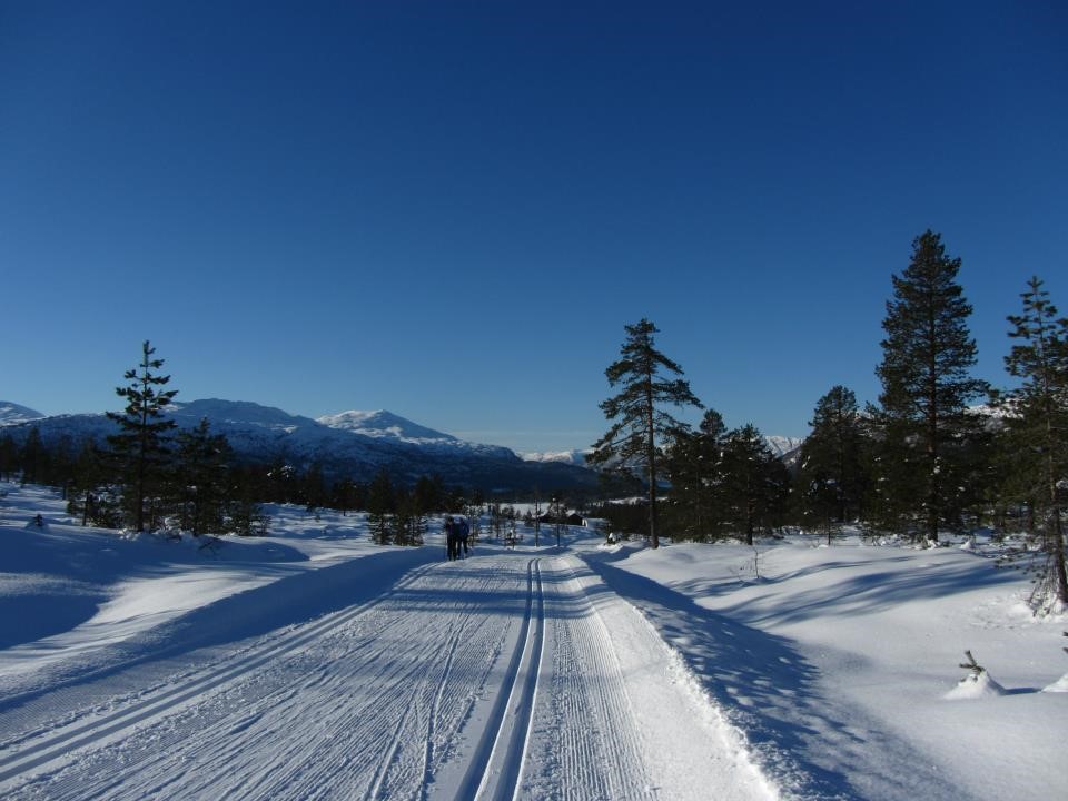Innbyding til NC Markane 22.1-24.1.2016