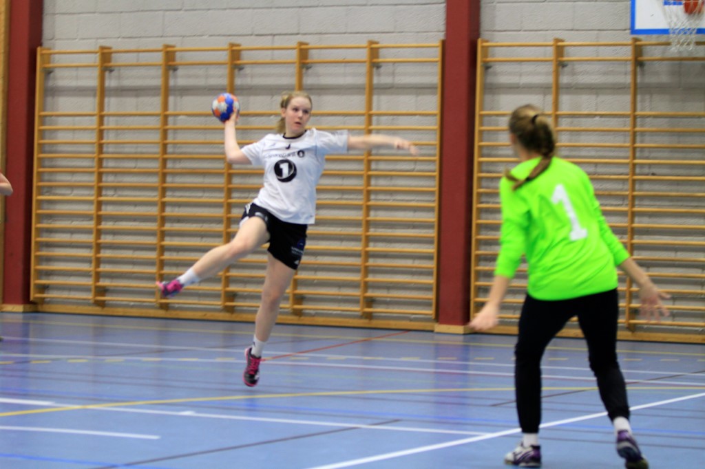 Lønn for strevet