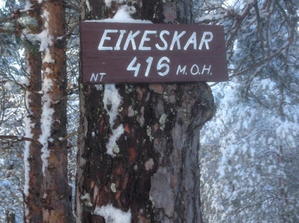 Snøgg Friidrett har sagt ja til samarbeid om motbakkeløpet Eikeskar Opp