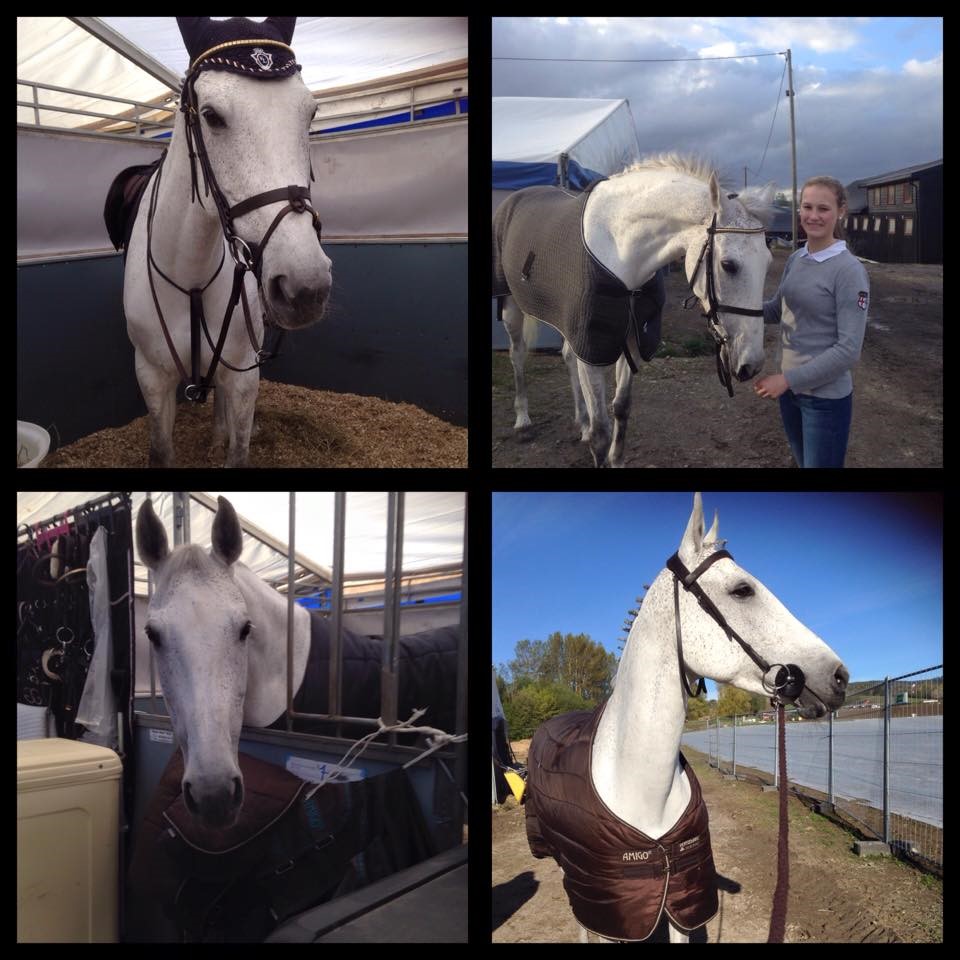 Internasjonal debut for Tine og Tequila under DST