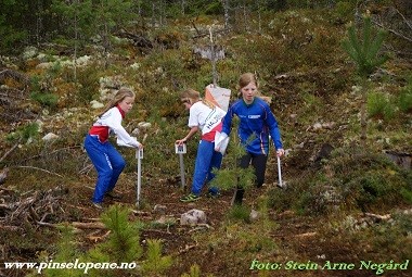 Pinseløpene