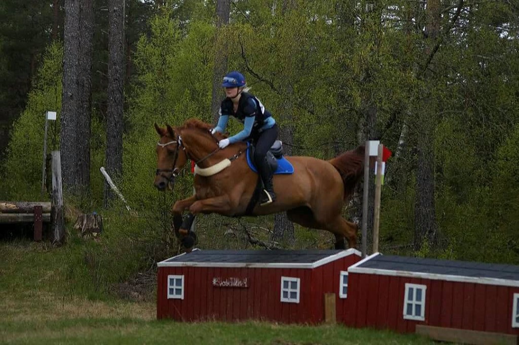 Strålende 90cm debut på E-stevne