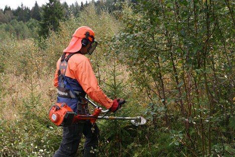 HUSK DUGNAD i MERÅKER