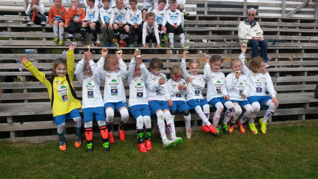 Halsa-Cup 2015 lørdag 30. mai