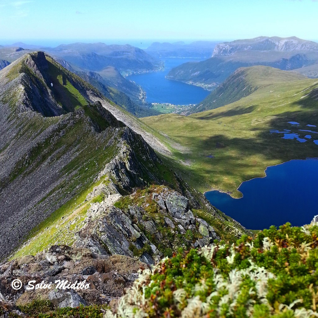 Blæja 1142 m.o.h.