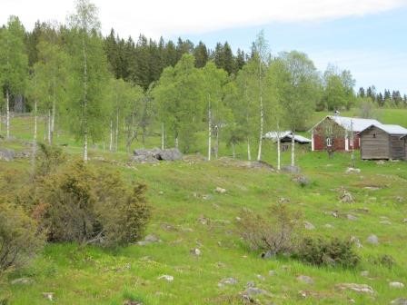 Mattila samlingen 2015 er historie