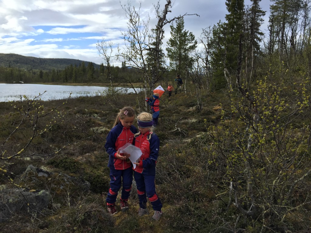 Treningsløp på Svarttjern