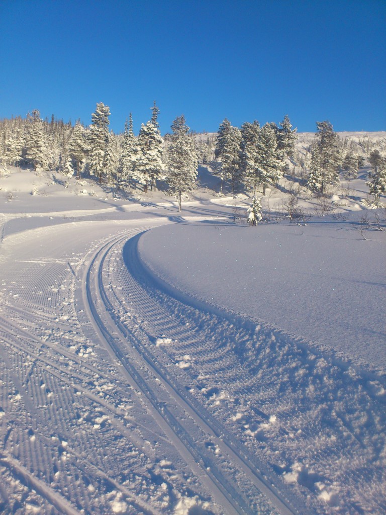 Salg på skisko (og ski)