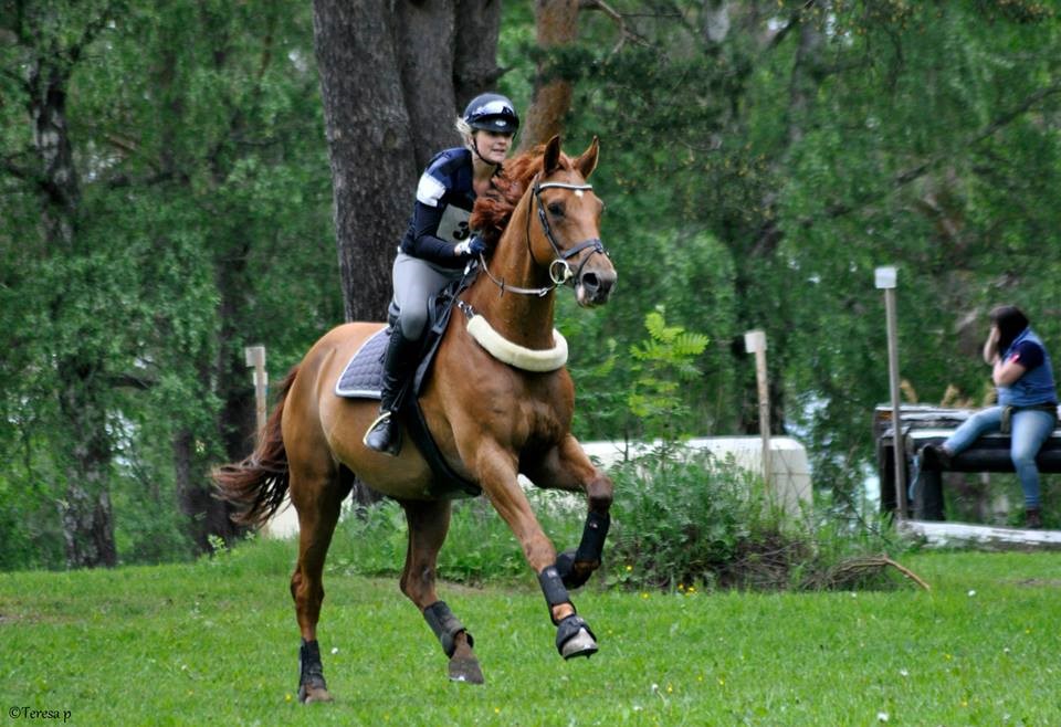 5. plass til Malin og Czak på Starum