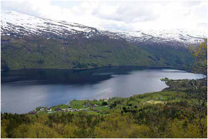 Solheimsløpet 2015