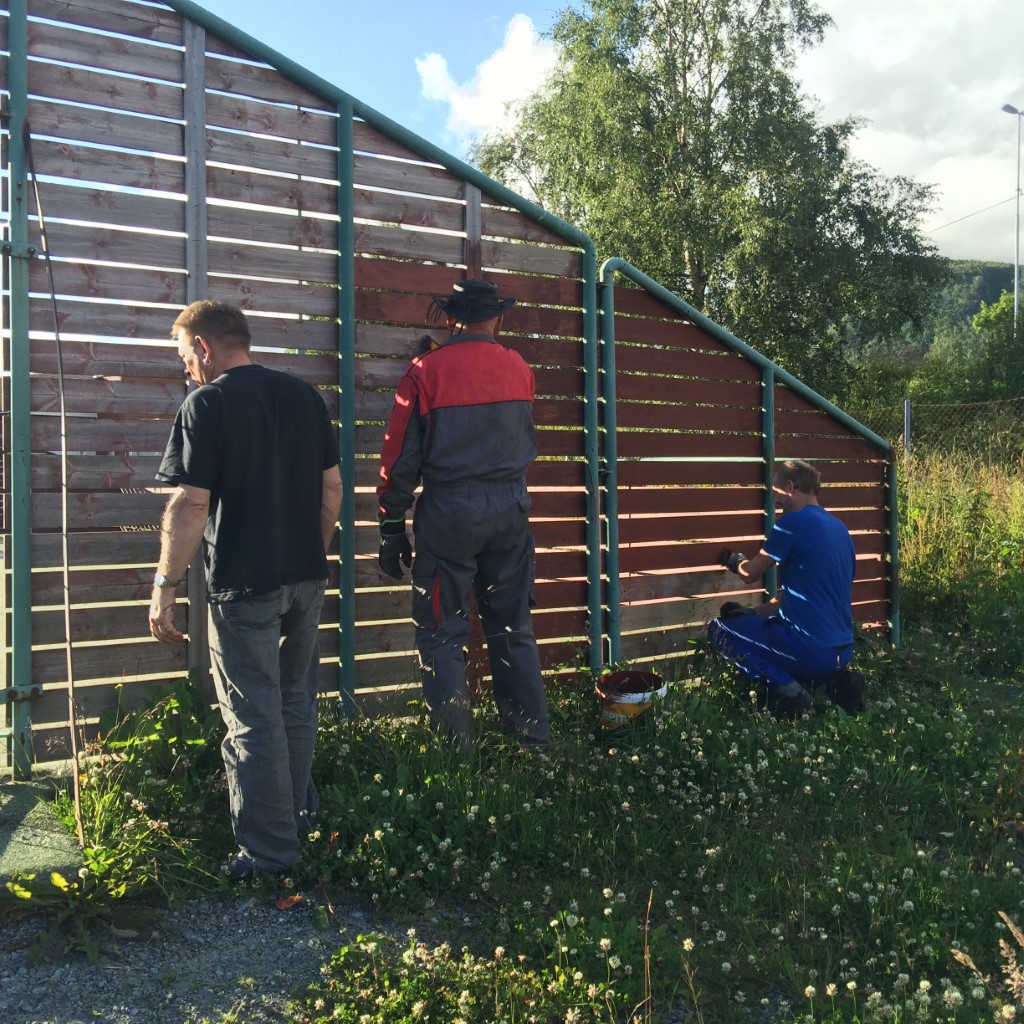 Rehabilitering ballbingen