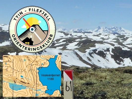 Filefjellmesterskap 25. juli