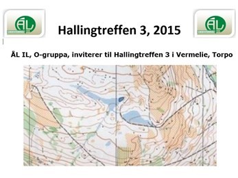 Hallingtreffen 3 på Ål onsdag 19. aug.