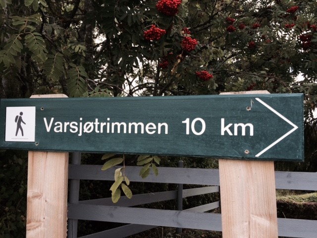 Varsjøtrimmen 2015