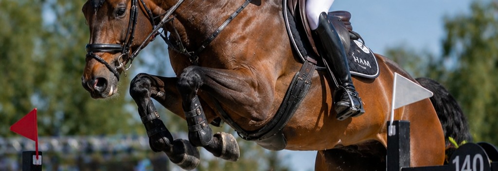 Klubbsamling - publikum på Drammen Spring Tour