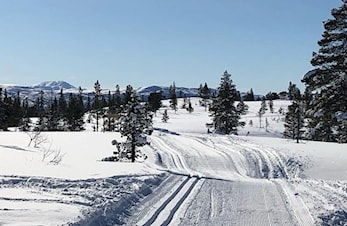 Sørfjellrennet 2024- Turklassen
