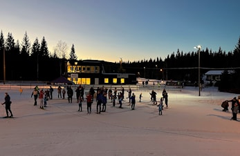 Telenor-Hestehovkarusellen 2024