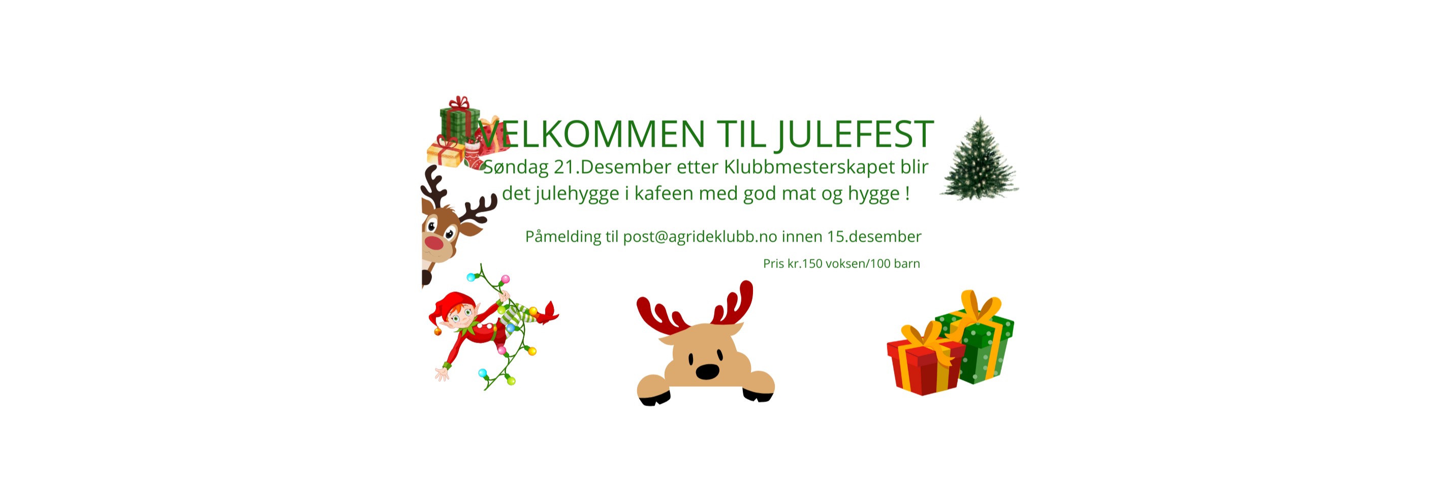 Julefest for alle oppstallører og medlemmer