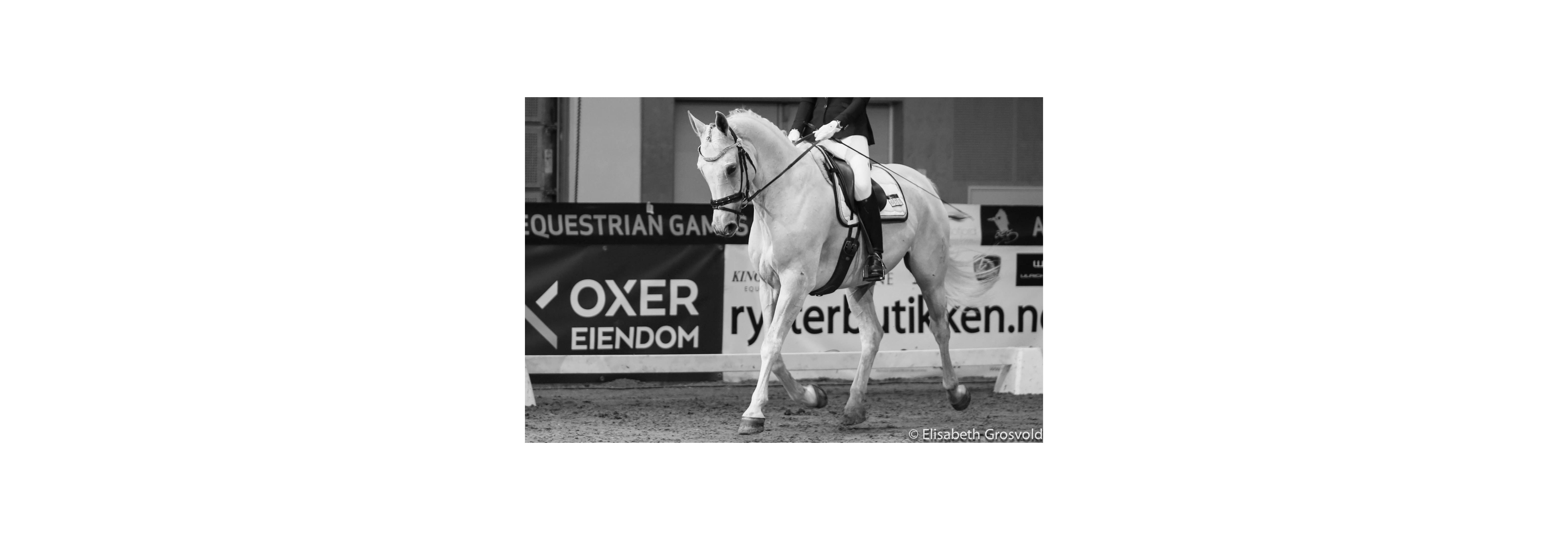 Dressurstevne på AGR