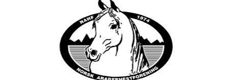 Araberhest utstilling