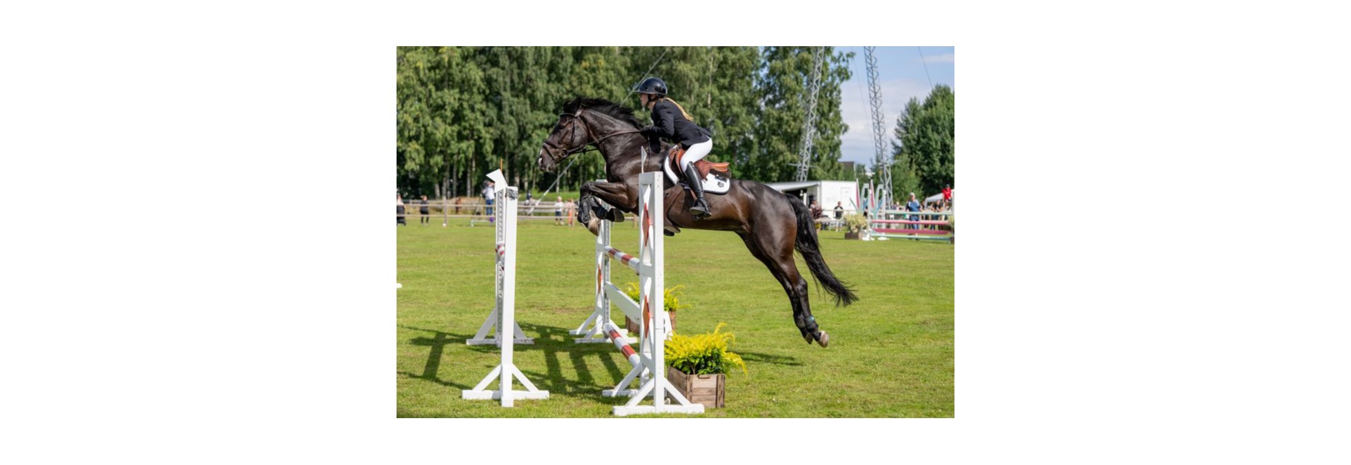 AGR arrangerer Landsstevne Ponni og Children