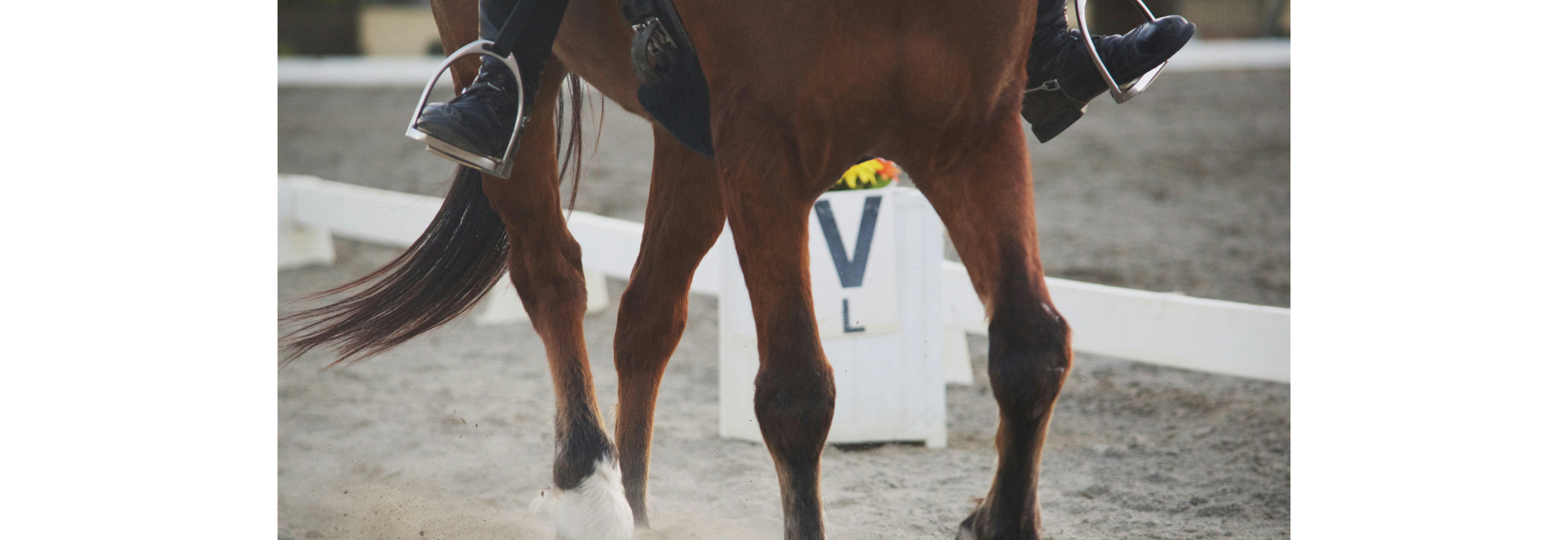 Hallmesterskap MA/VB/VA/PARA