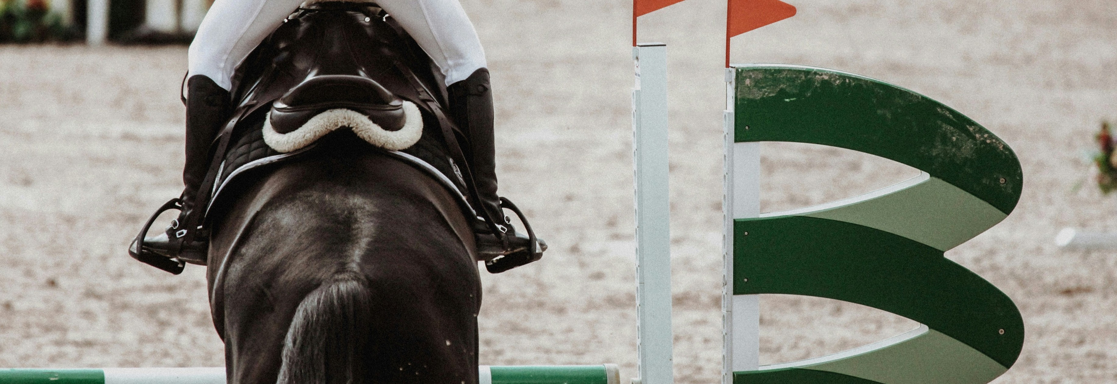 D/L - hest og ponni