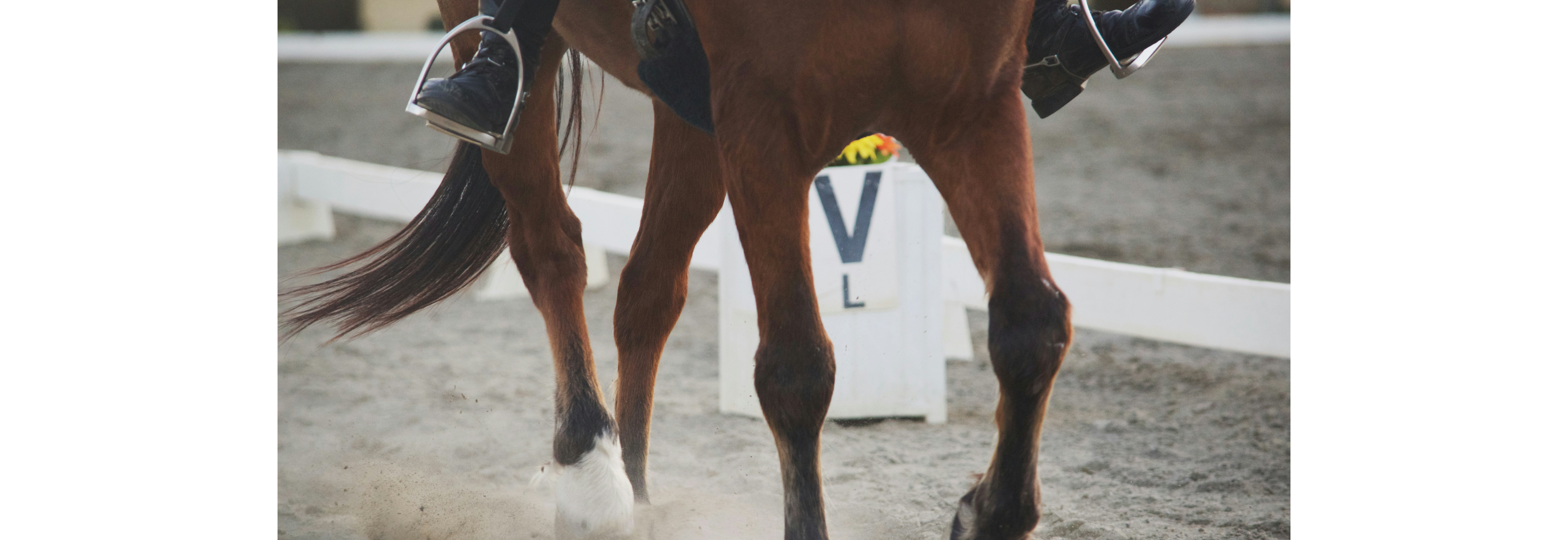 Klubbmesterskap Dressur