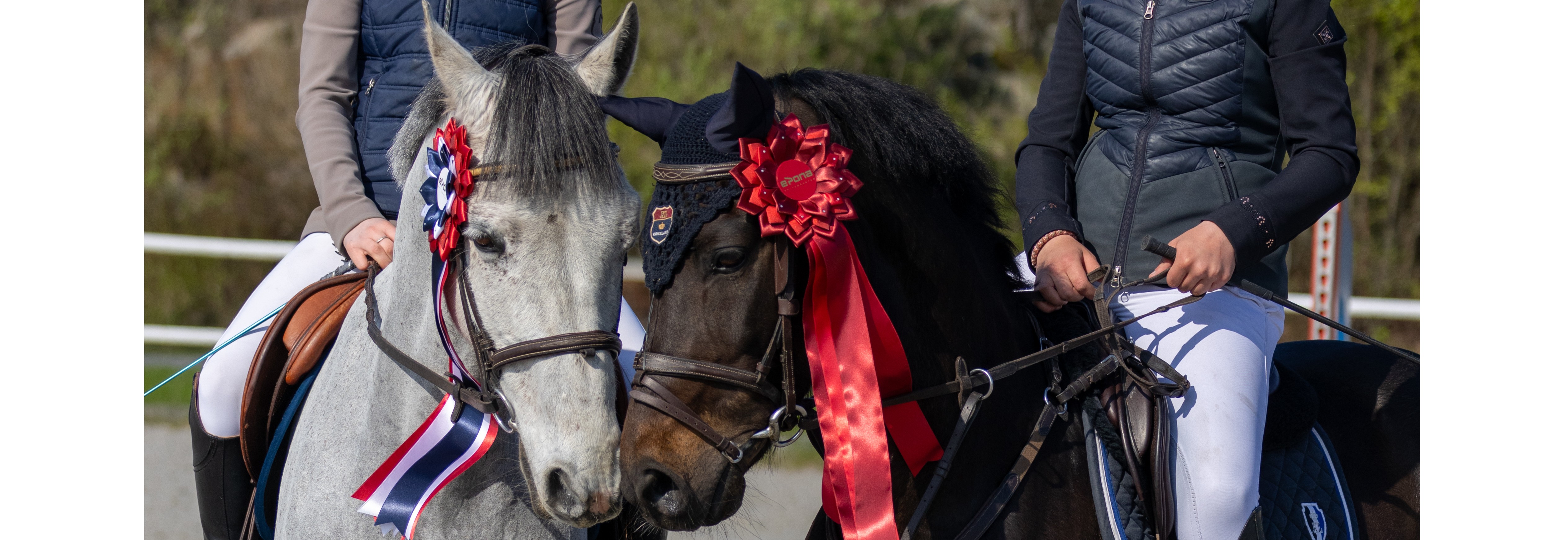 Sommerstevne på Epona