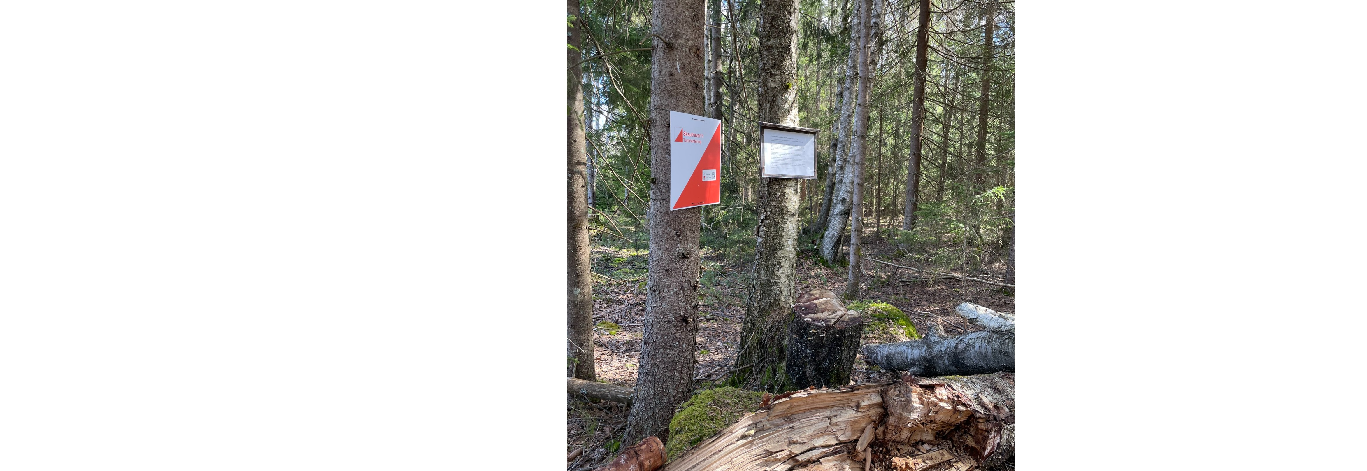 Avslutning for Skautraversesongen 2025 - og oppstart av 2026 sesongen