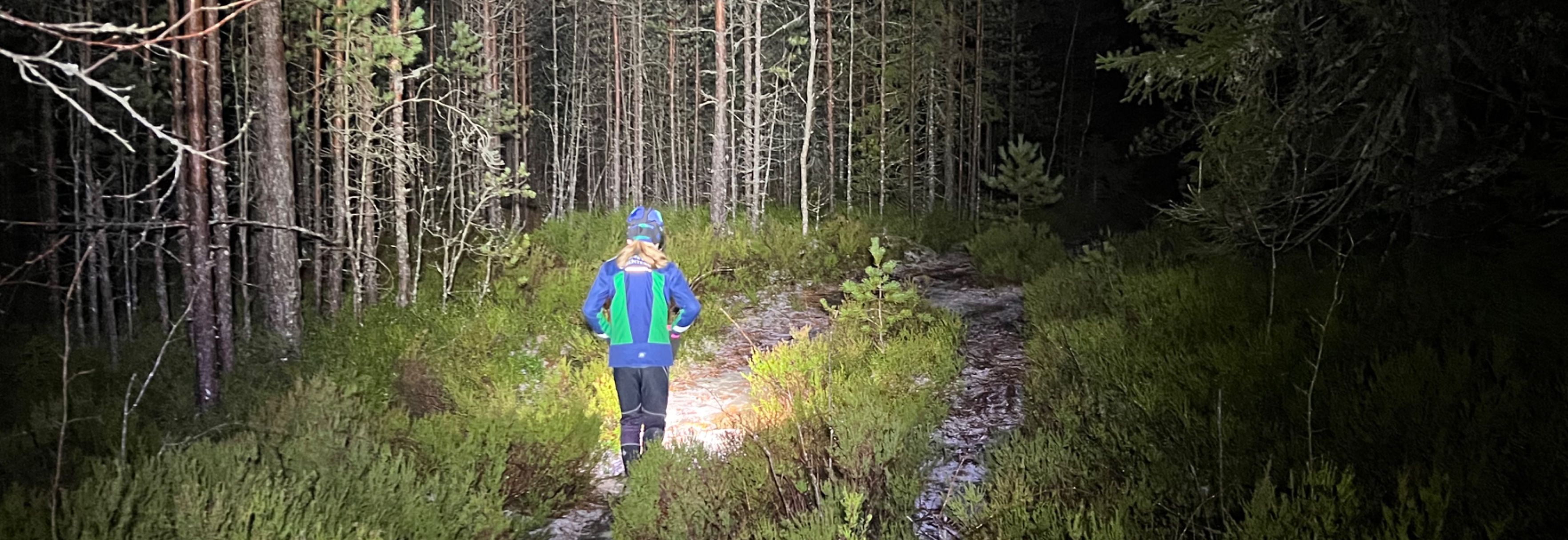 Treningsløp i Tårnåsen skole - NattO