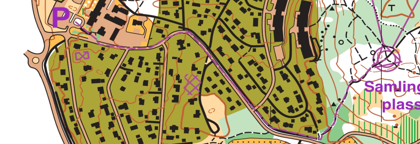 Treningsløp fra Langhus skole