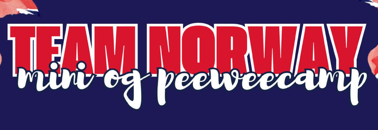 Mini og Pee Wee Camp