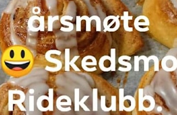 Årsmøte 2023
