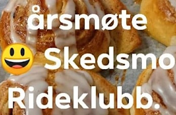 Årsmøte 2024