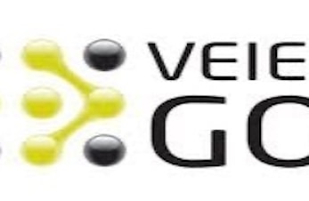 Veien til golf - kurs 4