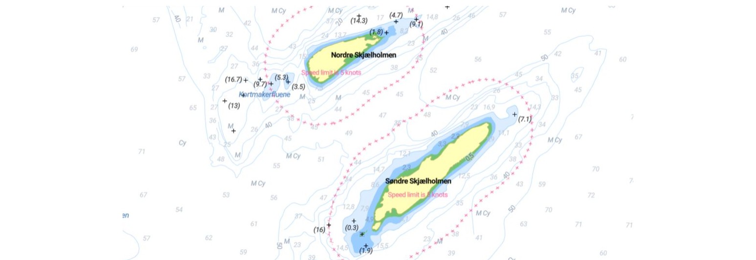 Strandrydding Søndre Skjælholmen Før fuglene kommer
