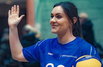 Volleyballserien